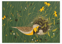 Charley Harper: Nesting Instinct Boxed Cards