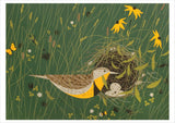 Charley Harper: Nesting Instinct Boxed Cards