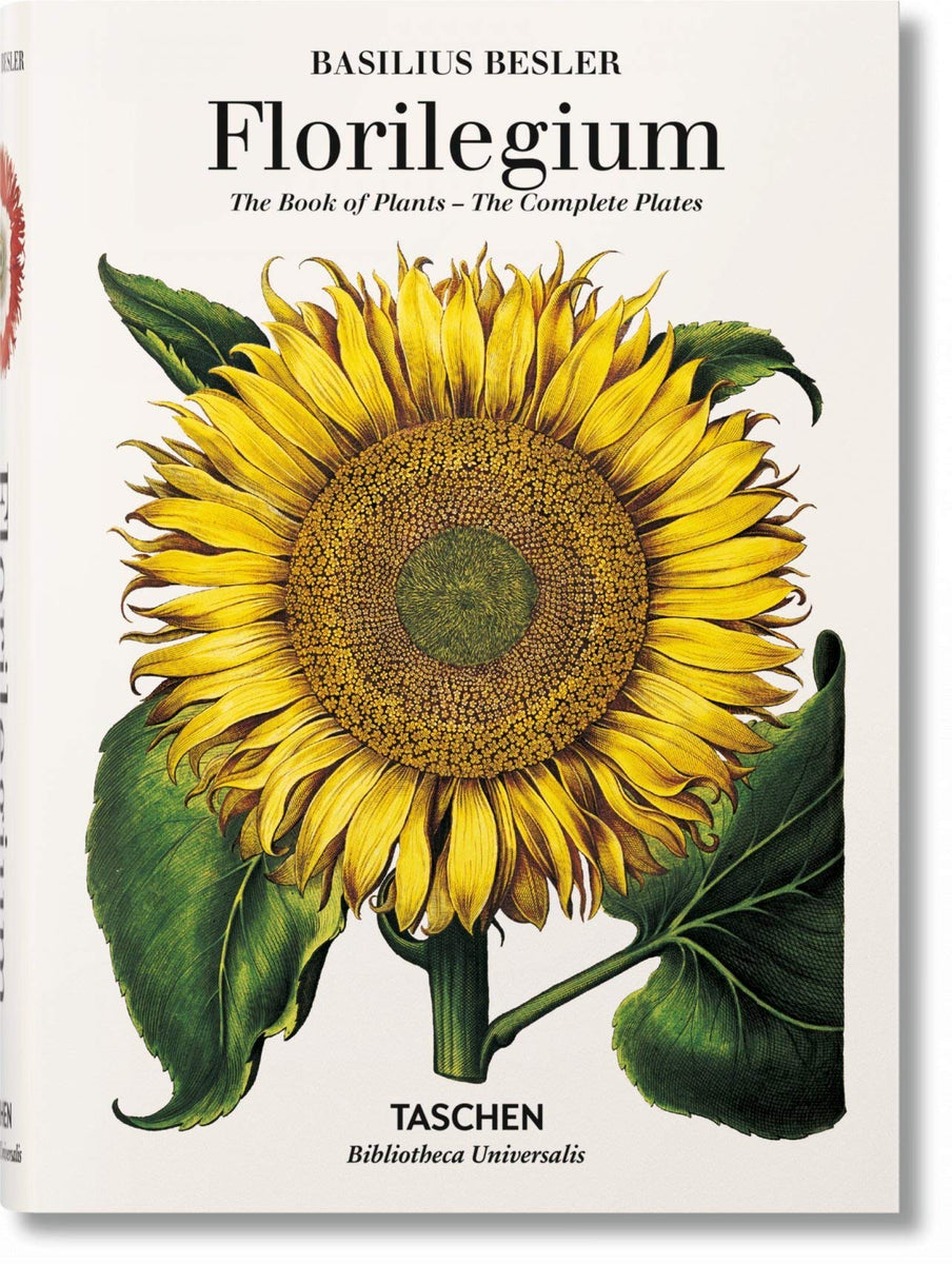 美しい1613年の植物画集'Besler Florilegium' Basilius Besler Florilegium: The Book of Plants – Vancouver