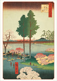 Hiroshige Cherry Blossoms Boxed Notecard