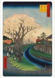 Hiroshige Cherry Blossoms Boxed Notecard