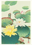 Haiku Japanese Art & Poetry Boxed Notecard