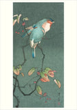 Haiku Japanese Art & Poetry Boxed Notecard