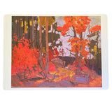 Tom Thomson Four Seasons Boxed Set of Dinner Placemats