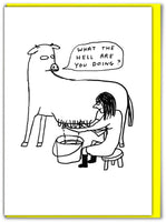 Shrigley Greeting Card - What The Hell