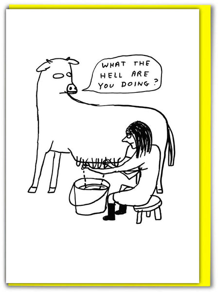 Shrigley Greeting Card - What The Hell