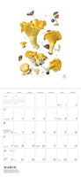 Mushrooms: Alexander Viazmensky 2024 Wall Calendar