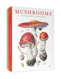 Mushrooms Boxed Notecard