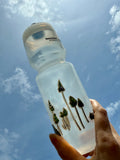 Emily Carr X Samsara Water Bottle