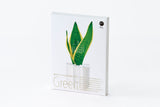Green 2024 Desk Calendar