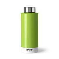 Pantone Thermo Steel Drinking Bottle - Green 15-0343