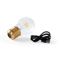 Cordless Edison Lightbulb