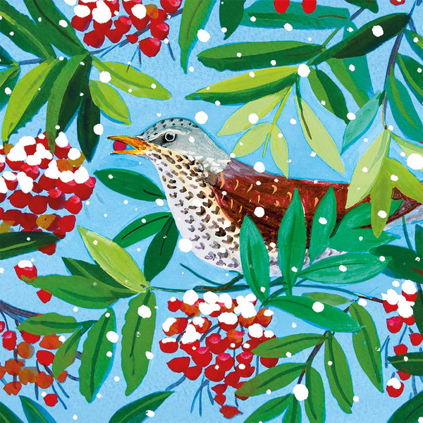 Fieldfare in Snow Holiday Cards - Set of 8