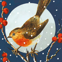 Robin and Rosehips Holiday Cards - Set of 8