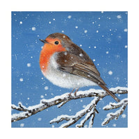 Robin in the Snow Holiday Cards - Set of 8