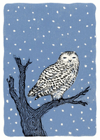 Artists to Watch: Neil Brigham Holiday Cards - Set of 12