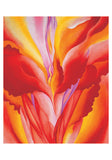 Georgia O'Keeffe: Abstract Flowers Boxed Cards