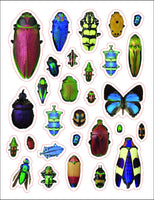 Incredible Insects Sticker Book