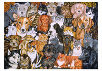 In the Company of Cats: Art by Ditz Boxed Cards