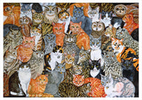 In the Company of Cats: Art by Ditz Boxed Cards