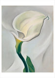 Georgia O'Keeffe Paintings Boxed Cards