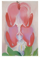 Georgia O'Keeffe Paintings Boxed Cards