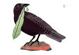Birds of Cape Dorset Boxed Cards