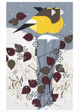 Charley Harper: Birds Holiday Cards - Set of 20