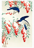 Ohara Koson (Shōson): Flycatchers in Snow Holiday Cards - Set of 12