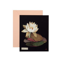 Paper Flowers Cards: The Art of Mary Delany