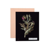 Paper Flowers Cards: The Art of Mary Delany