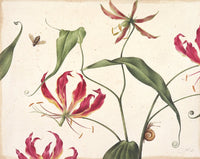 Botanicals Notecards