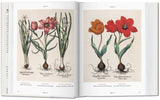 Basilius Besler Florilegium: The Book of Plants