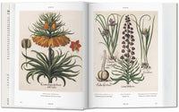 Basilius Besler Florilegium: The Book of Plants