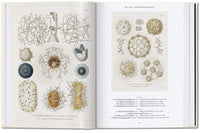 The Art and Science of Ernst Haeckel, 40th Ed.