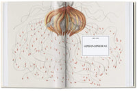 The Art and Science of Ernst Haeckel, 40th Ed.