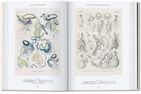 The Art and Science of Ernst Haeckel, 40th Ed.
