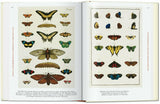 Seba: Cabinet of Natural Curiosities, 40th Ed.