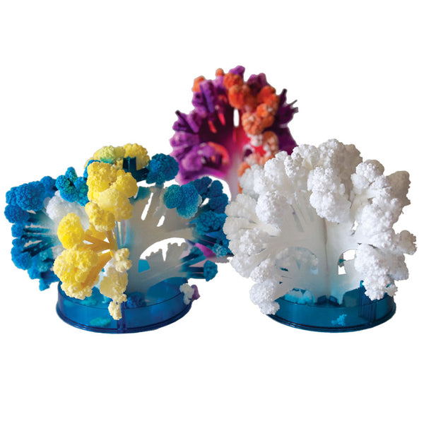 Coral Reef Crystal Growing Kit