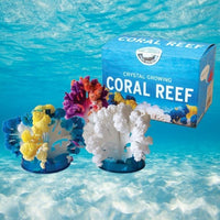 Coral Reef Crystal Growing Kit