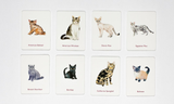 Cats and Kittens Memory Game